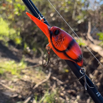 STRANGER BIG CRANK FLOATING