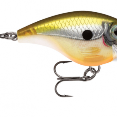 Amostra Rapala Xtreme BX Brat