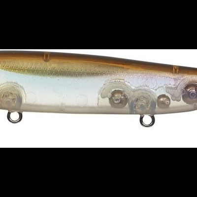 Amostra&#x20;EverGreen&#x20;Justine