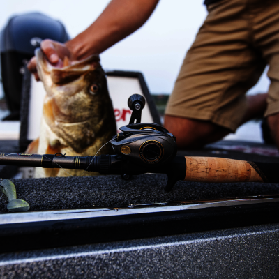 Team&#x20;Lew&#x27;s&#x20;Custom&#x20;Pro&#x20;Rods