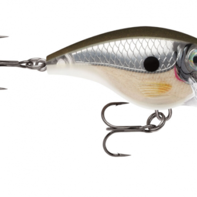 Amostra Rapala Xtreme BX Brat