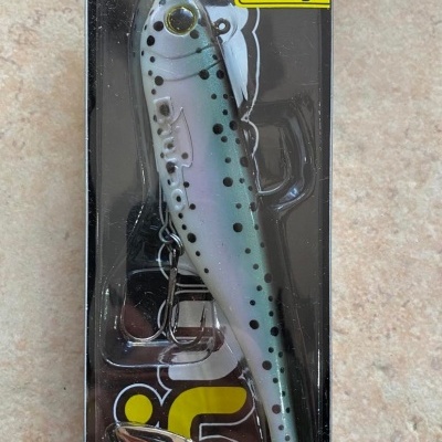 Biwaa&#x20;Divinator&#x20;55g