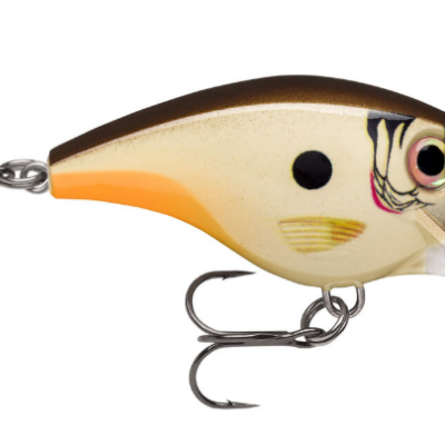 Amostra Rapala Xtreme BX Brat