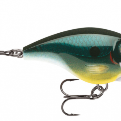 Amostra Rapala Xtreme BX Brat