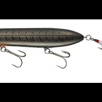 Amostra&#x20;EverGreen&#x20;Showerblows