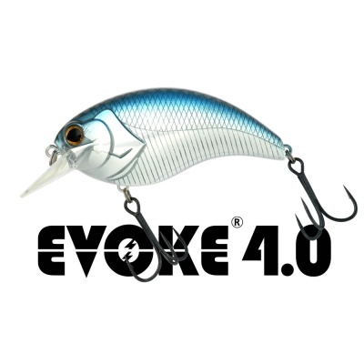 DEPS Evoke 4.0
