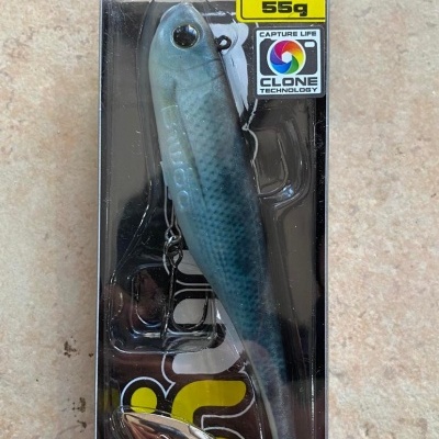 Biwaa&#x20;Divinator&#x20;55g