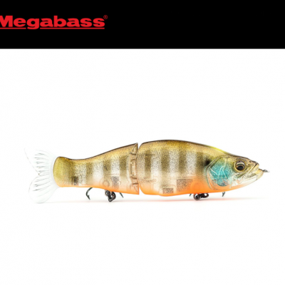 Amostra Megabass i-Slide 135