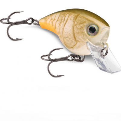 Amostra Rapala Xtreme BX Brat