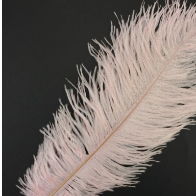 Pluma de Avestruz Fembody 35cm
