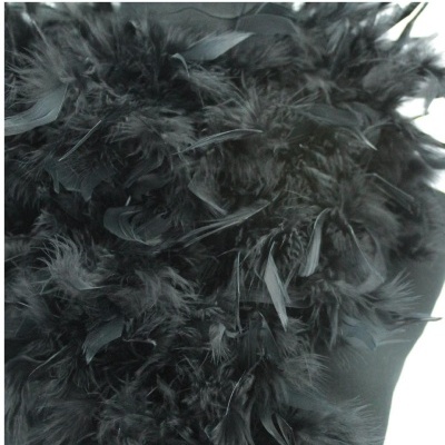 Textura de penas pretas densas