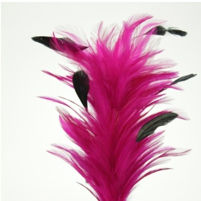 Penas decorativas cor-de-rosa e pretas sobre fundo branco