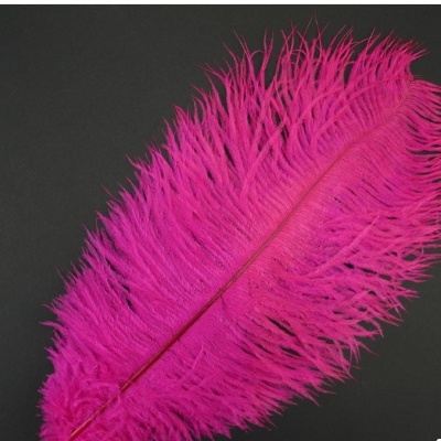 Pluma de Avestruz Fembody 35cm