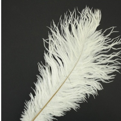 Pluma de Avestruz Fembody 35cm