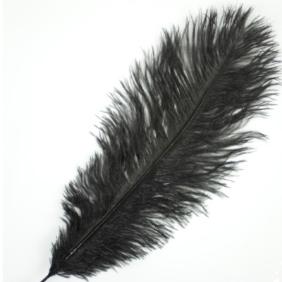 Pluma de Avestruz Fembody 35cm