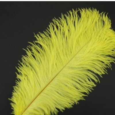 Pluma de Avestruz Fembody 35cm