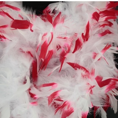 Boa de penas brancas e vermelhas