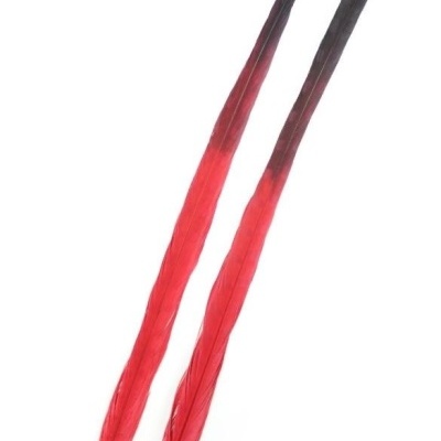 Duas penas longas vermelhas com ponta preta