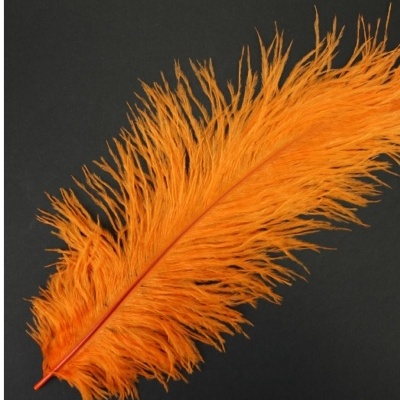 Pluma de Avestruz Fembody 35cm