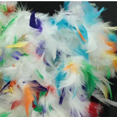 Plumas coloridas sobre fundo escuro