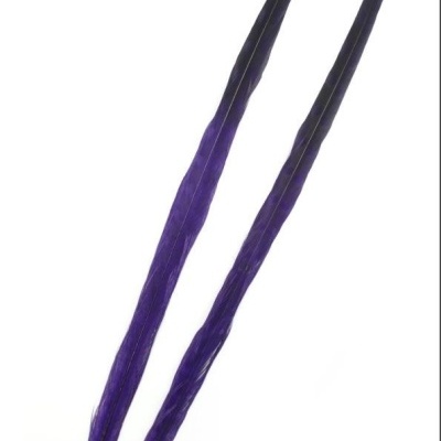 Dois pêlos longos e finos de cor roxa e preta sobre fundo branco