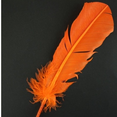 Pena amarela grande sobre fundo preto