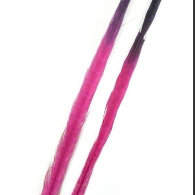 Duas penas rosa e roxo sobre fundo branco