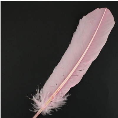 Pena cor-de-rosa claro sobre fundo preto