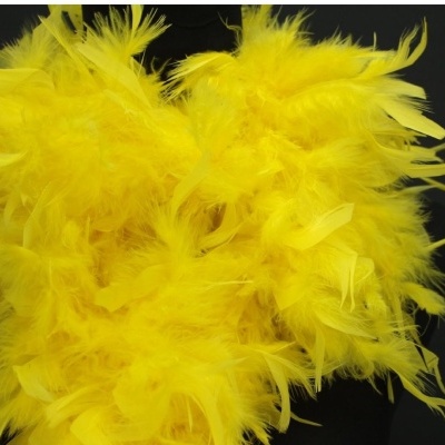 Boa de penas amarelada sobre fundo preto