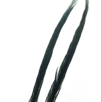 Duas penas longas e pretas em fundo branco