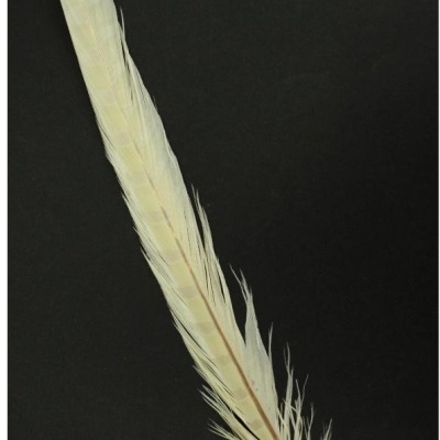 Pena creme longa sobre fundo preto