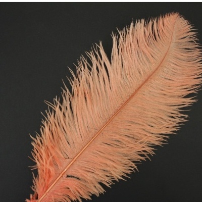 Pluma de Avestruz Fembody 35cm