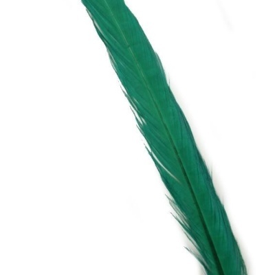 Pena verde longa em fundo branco