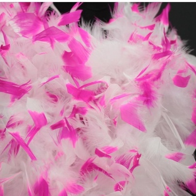 Penas brancas e rosa soltas sobre fundo preto