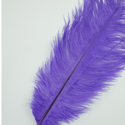 Pluma de Avestruz Fembody 35cm