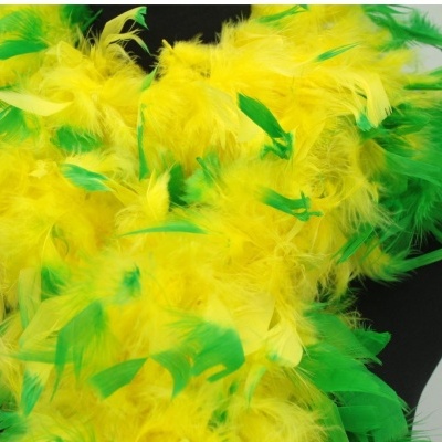 Boa de penas amarelas e verdes