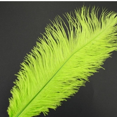 Pluma de Avestruz Fembody 35cm