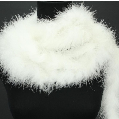 Plumagem branca macia e felpuda sobre fundo preto