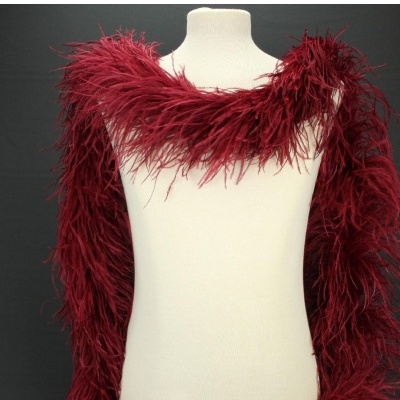 Estola de plumas cor vinho num manequim creme