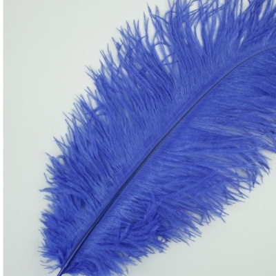 Pluma de Avestruz Fembody 35cm