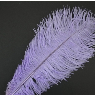 Pluma de Avestruz Fembody 35cm