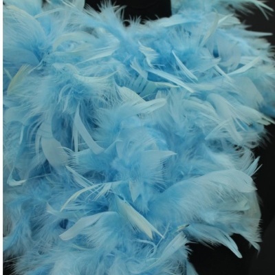 Plumas azuis claras com texturas variadas sobre fundo preto