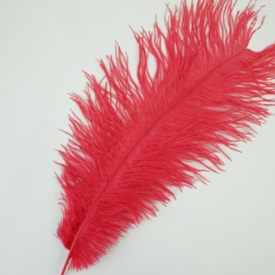 Pluma de Avestruz Fembody 35cm