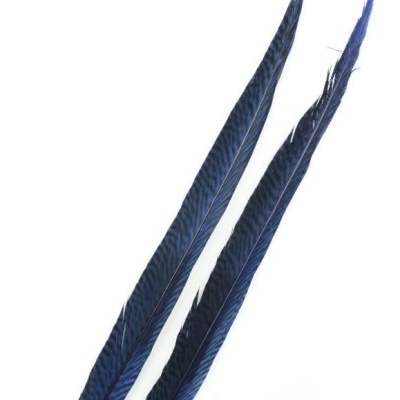 Duas penas longas azuis