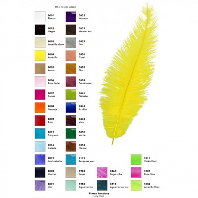 Pluma de Avestruz Long Chic 40cm