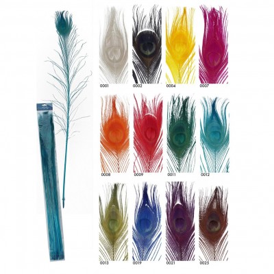 Pena de pavão real pintada 80cm