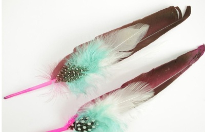 Penas decorativas coloridas sobre fundo branco