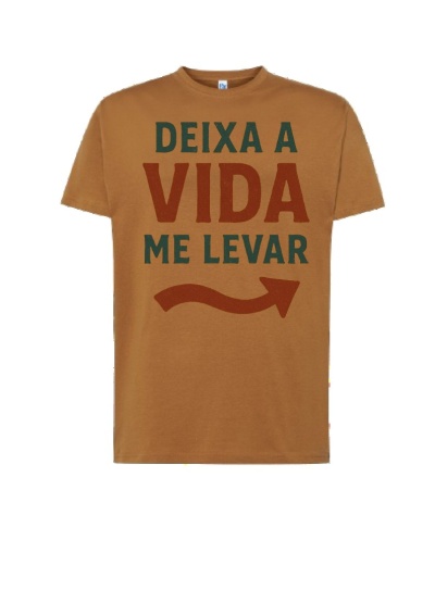 Deixa a vida me levar