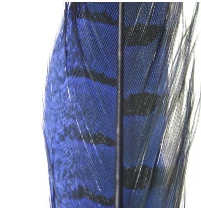 pena azul e preta com padrão em listras