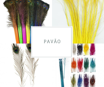 Penas decorativas coloridas com padrão de pavão em várias cores.